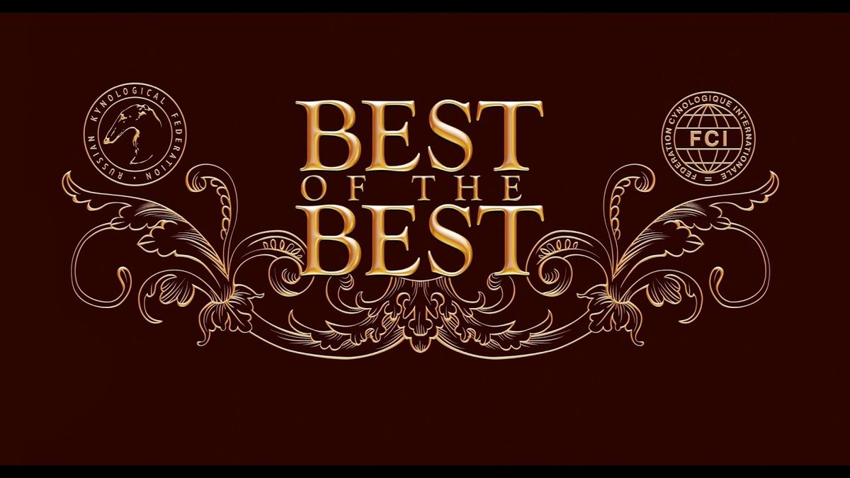 Best Plumber In Hilo For Quick And Trusted Repairs